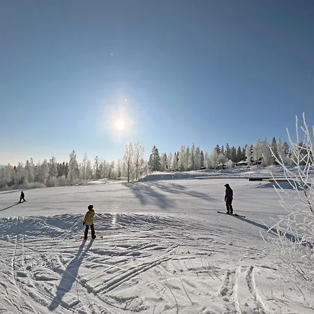 Σαλέ Lomariihi 2 *